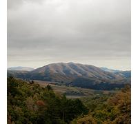 Dirty Projectors + Bjork - Mount Wittenberg Orca
