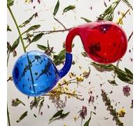 Dirty Projectors – Lamp Lit Prose – Vinile colorato (Domino)