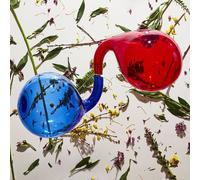 Dirty Projectors Lamp Lit Prose (Vinyl LP)