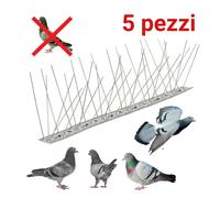 Disabituante Piccioni 5 Pezzi Volatili Colombi Piccione 1 Mt 80 Punte Inox