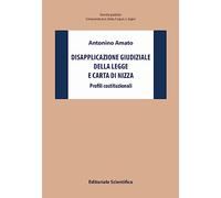 Disapplicazione giudiziale della legge e Carta di Nizza. Profili costituzionali