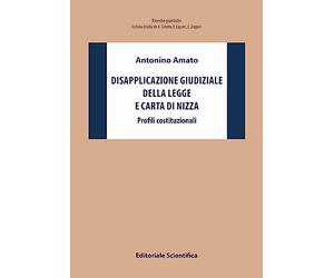 Disapplicazione giudiziale della legge e Carta di Nizza. Profili costituzionali