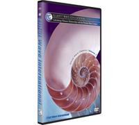 Disc 7. Calculating Fibonacci Relationships with the Precision Ratio Compass