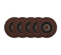 Dischi abrasivi lamellari grana 80 pz5