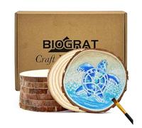 Dischi di Legno Dischetti legno 11-12 cm 8 pz da Decorare, Tronco Legno