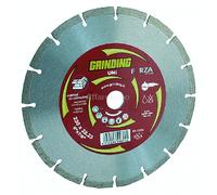 DISCHI DIAM.GRINDING FORZA SETTORE A677 1 PEZZO FRA 352220