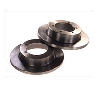 Dischi freno DELPHI BG4218, 2 Pezzo