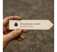 Disciphania ernstii SEEDS - - SEMI Vite di Disciphania | Luna di Ernest