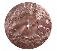 DISCO ABRASIVO BIFACCIA CARBURO DI TUNGSTENO GR.24 x RAIMONDI MAXITITINA D.450