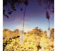 Disco Anti Napoleon - Ascent