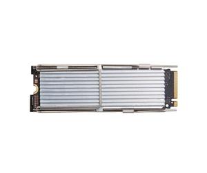 Disco Duro HP NVMe M.2 PCIe 512GB SSD Massima Velocità ed Efficienza