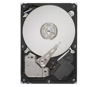 Disco Duro Seagate Pipeline HD 320GB HDD 5900rpm SATA II 3.5 pollici Buffer 8MB