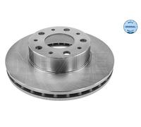 Disco freno Assale anteriore per CITROËN FIAT OPEL PEUGEOT VAUXHALL BOXER DUCATO