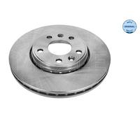 Disco freno Assale anteriore per RENAULT GRAND SCÉNIC LAGUNA LATITUDE MEGANE MEG