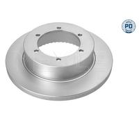 Disco freno Assale posteriore per NISSAN CABSTAR NT400 CABSTAR