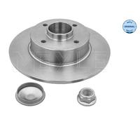 Disco freno Assale posteriore per RENAULT CLIO MEGANE MODUS / GRAND MODUS TWINGO