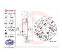 Disco Freno Brembo 09.6665.11 Prime Line - Uv Coated per Porsche