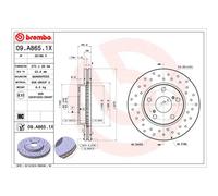 Brembo Xtra 09.A865.1X - Disco Freno Forato Anteriore, Set di 2