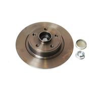 Disco freno DELPHI BG9026RS posteriore, pieno, 1 Pezzo