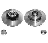 LPR Brakes Disco freno R1020PCA
