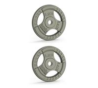 Disco in ghisa Body Revolution 2,5kg (x2) Gris 2,5 kg