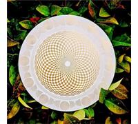 Disco polarizzante oscillatore multionda con bilanciamento armonico ed energizzazione dell'acqua, strumento di meditazione for il bilanciamento dei chakra, regalo(White)