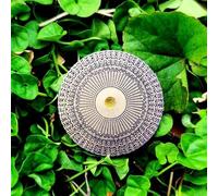 Disco Polarizzatore MWO, Bobina Multi Oscillatore, Braccialetto, Risonanza Doppio Disco, Energizzazione Dell'acqua, Bilanciamento Armonico, Disponibile 174 Hz A 963 Hz, For Meditazione(528hz)