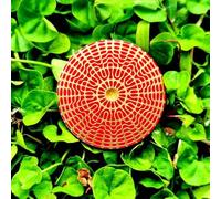 Disco Polarizzatore MWO, Bobina Multi Oscillatore, Braccialetto, Risonanza Doppio Disco, Energizzazione Dell'acqua, Bilanciamento Armonico, Disponibile 174 Hz A 963 Hz, For Meditazione(285hz)