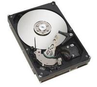 "Disco rigido NLSAS DX100/200 S3 da 2 TB