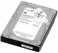 Disco Rigido Seagate Es 2TB ST32000644NS 7200Giri/Min 64MB SATA II 3.5" Pollici