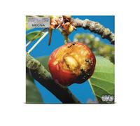 DISCORDIA, ARMONIA E ALTRI STATI D’ANIMO