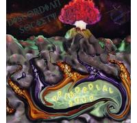 Discordian Society - Primordial Soup