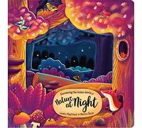 Lenka Chytilova Discovering the Hidden World of Nature at Nig (Libro di cartone)