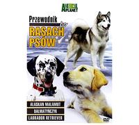 Discovery - Breed All About It [DVD] (IMPORT) (Nessuna versione italiana)