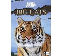 Discovery Channel - Big Cats [Edizione: Regno Unito] [Edizione: Regno Unito]