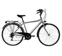 Discovery Denver 19237 Bici Manhattan, Silver Metallizzato, 28 Pollici