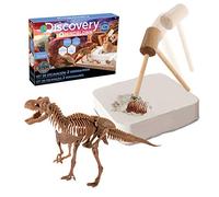 Discovery- Kit scavo Giocattolo, Gioco Archeologia, archeojugando, scavi fossili, Scheletro, disinterrare Dinosauri, 6000445
