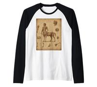 Disegno anatomico Mistico Centaur Gothic Fantasy Art Maglia con Maniche Raglan