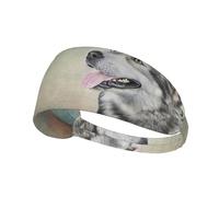 Disegno del ritratto del cane Alaskan Malamute,Fascia elastica per capelli multiuso unisex, fascia antisudore sportiva