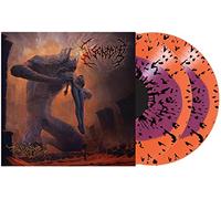 Disentomb - The Decaying Light