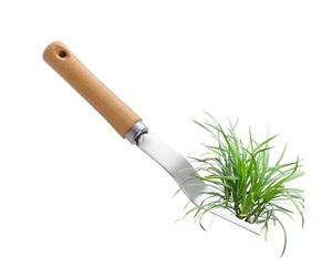Diserbatore manuale, rastrello smacchiatore riutilizzabile in acciaio - Avviatore di radici di cattive erbe, per prato, cortile, aiuola, giardino, ingresso di veicoli,
