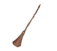 DISGUISE Wicked Elphaba Fancy Dress Accessories for Kids, Official Wicked by, Elphaba Hat and Elphaba Broomstick, Inspired by the Wicked Movie, Perfect for Halloween and Carnival
