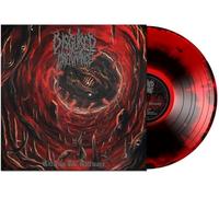 Disguised Malignance Entering the Gateways (Vinyl LP)