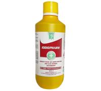 DISINFETT.Iodop.10%500mlF/CARE