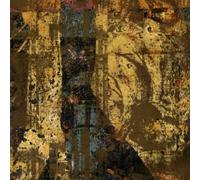 Disjecta - Clean Pit & Lid