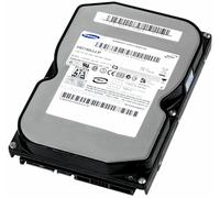 Disk Samsung Spinpoint P Hd160jj/P 160GB 7200U/Min 8MB SATA II 3.5 " Pollici