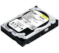 Disk Western Digital Caviale 40GB 7200U/Min 2MB Ata Ide WD400LB-07DNA2 3.5 "