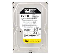 Western Digital RE3 Impresa 250GB Interno 7200RPM 8.9cm (WD2502ABYS) HDD