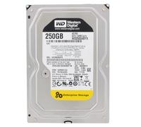 Disk Western Digital RE4 250GB WD2503ABYX 64MB 7200U/Min SATA II 3,5 " Pollici
