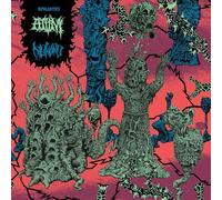 Diskord / Atvm - Bipolarities
